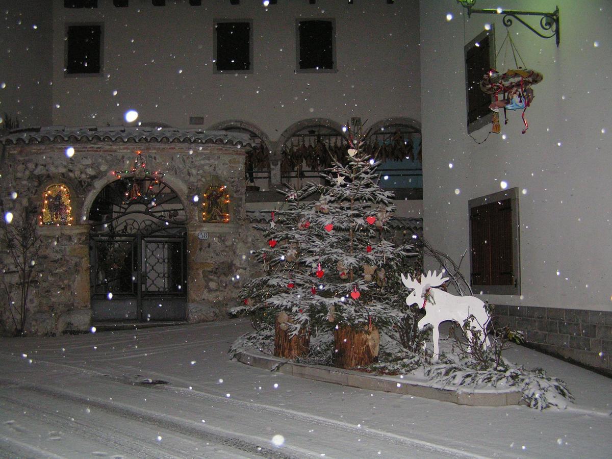 Bed and Breakfast Profum Di Bosc Arta Terme Exteriér fotografie